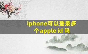 iphone可以登录多个apple id 吗